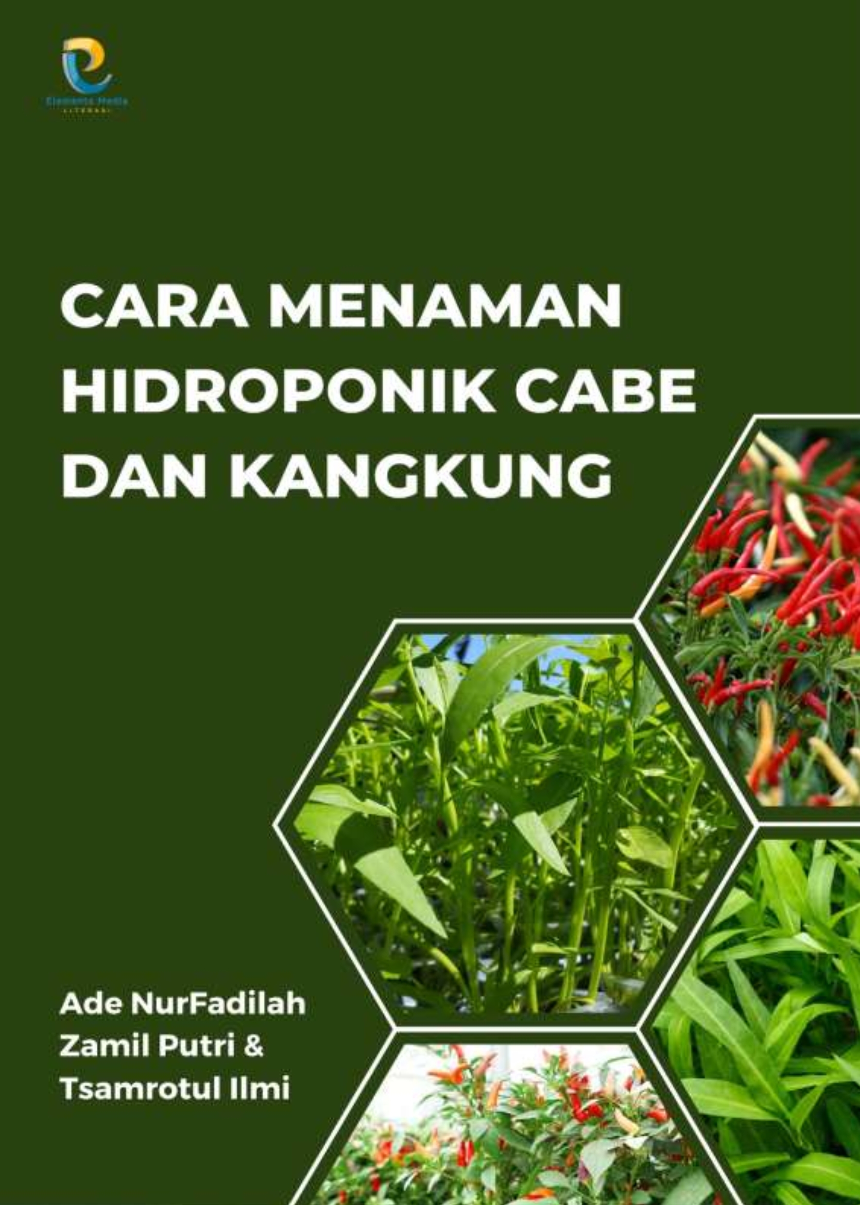 Cara Menaman Hidroponik Cabe dan Kangkung